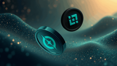 geefi-(gee)-steals-binance-coin's-(bnb)-spotlight-post-13%-fall-this-week,-phase-1-sells-50%-at-launch